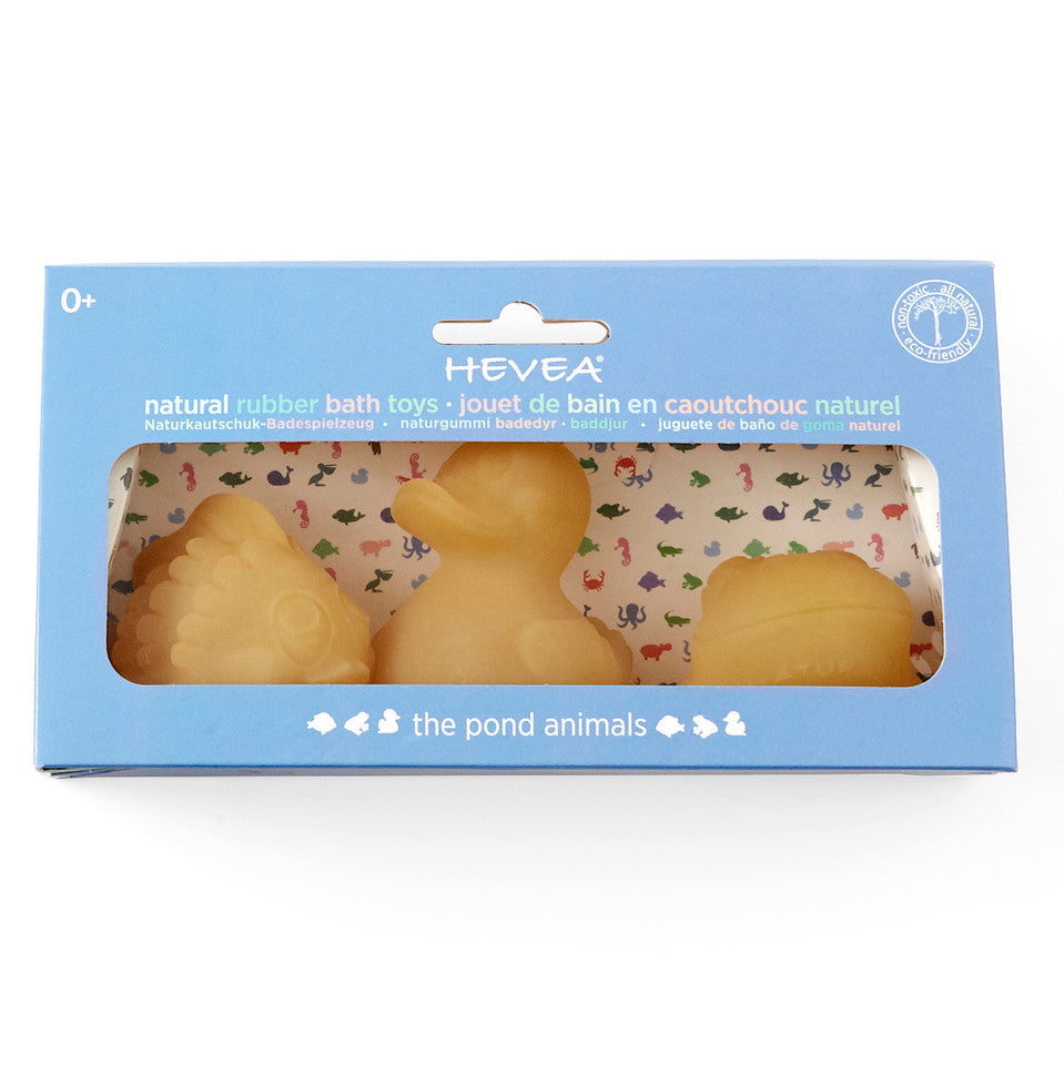 HE-BT-Pond - HE-BT-Pond-2.png