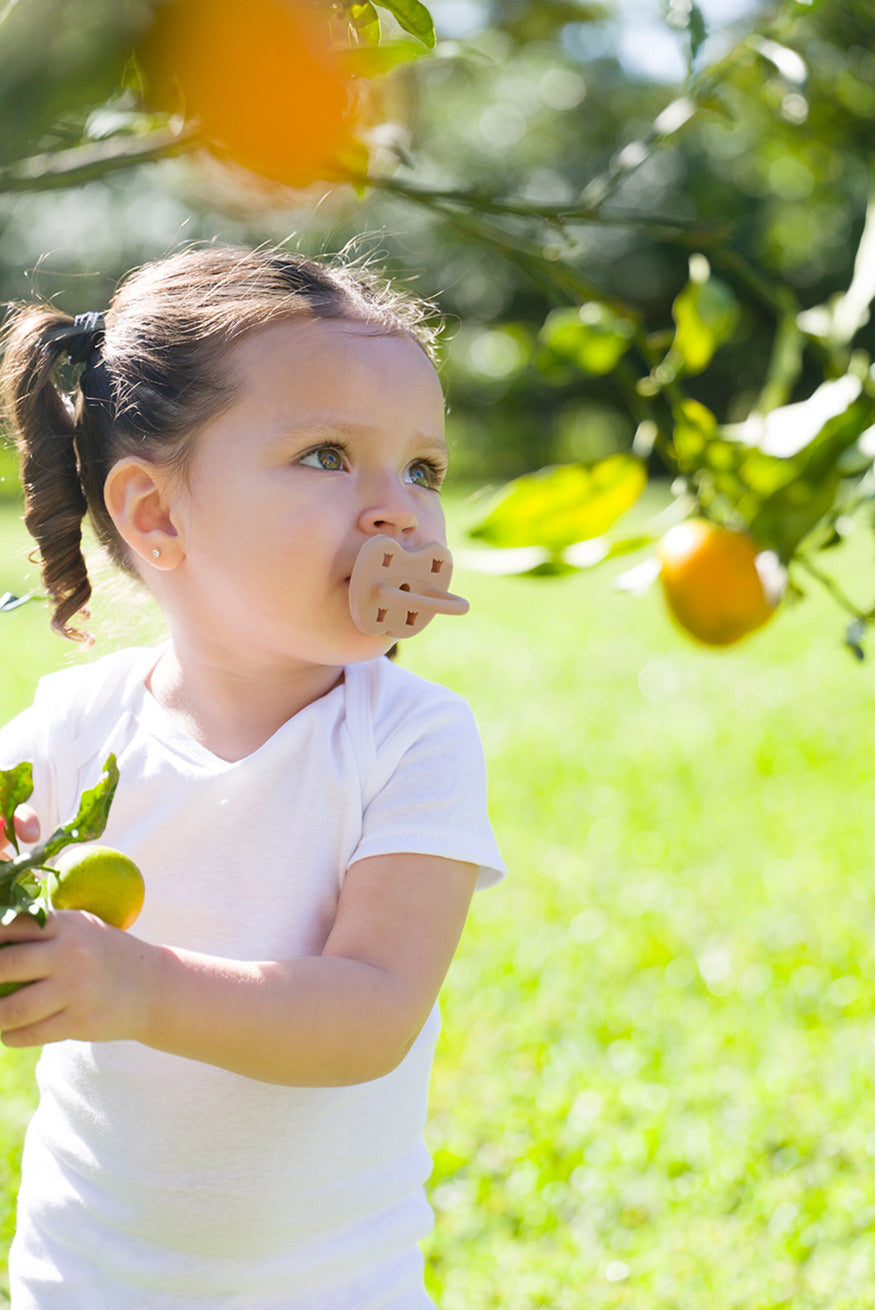 HE-CP-O-Fudge-3-36 - HE-CP-O-Fudge-3-36-4.png