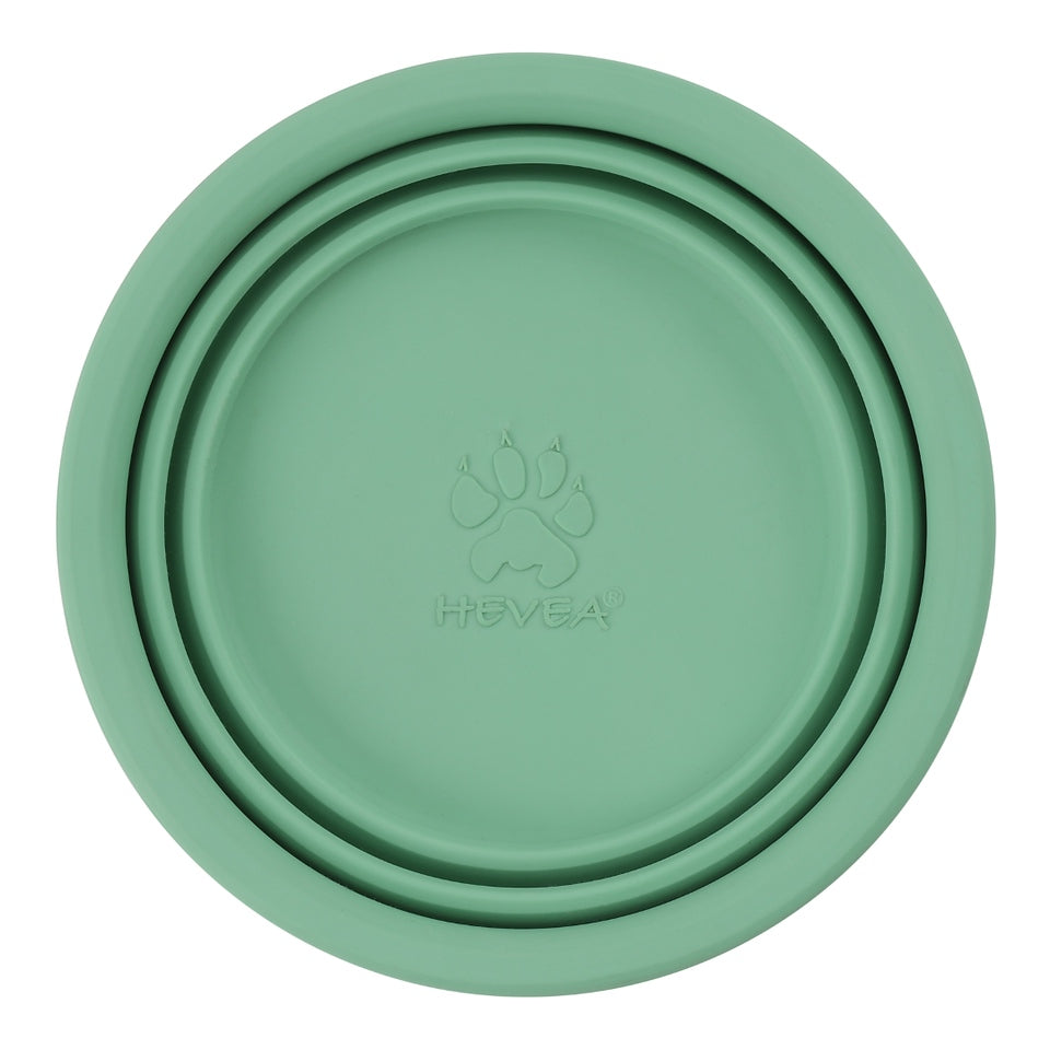 HE-PUP-Bowl-OnTheGo-Mint - HE-PUP-Bowl-OnTheGo-Mint-3.png