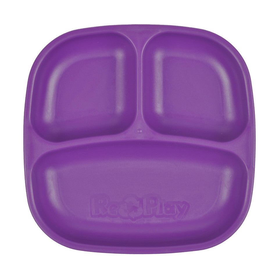 RP-SP-PlateDiv-Amethyst - RP-SP-PlateDiv-Amethyst-2.jpeg