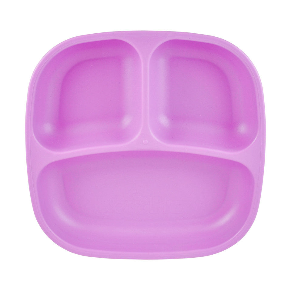 RP-SP-PlateDiv-Purple - RP-SP-PlateDiv-Purple-2.jpeg
